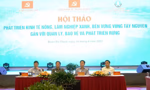 Phát triển kinh tế nông, lâm nghiệp xanh, bền vững vùng Tây Nguyên gắn với quản lý, bảo vệ và phát triển rừng