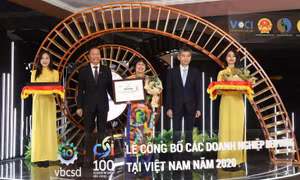 Phenikaa và Vicostone lọt Top 100 DN phát triển bền vững 2020