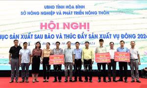 Hòa Bình: Đạt và vượt nhiều chỉ tiêu phát triển kinh tế, xã hội 8 tháng năm 2024