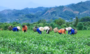 Masan Resources hỗ trợ phát triển kinh tế địa phương và bảo vệ môi trường