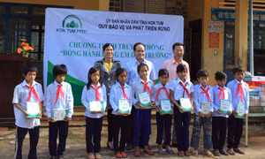 Kon Tum: Mở rộng nguồn thu phục vụ công tác bảo vệ, phát triển rừng bền vững