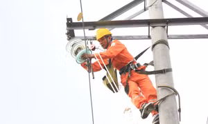 Khách hàng hưởng lợi từ dịch vụ điện trực tuyến của EVNNPC