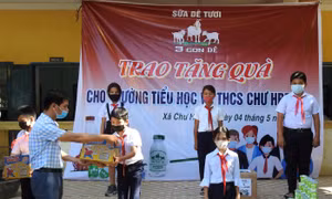 Công ty Cổ phần Sâm Ngọc Linh Kon Tum: Đồng hành cùng em đến trường 