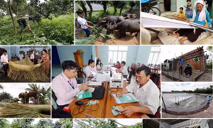 Thủ tướng giao kế hoạch vốn tín dụng chính sách xã hội năm 2019 là 8%
