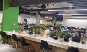Cận cảnh không gian xanh tại VNG Campus