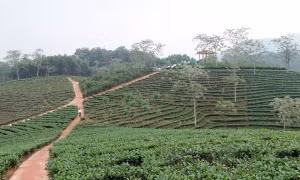 Phát triển du lịch cộng đồng ở Định Hóa