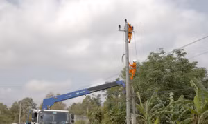 Đắk Nông: Đẩy nhanh các dự án cải tạo, nâng cấp lưới điện 