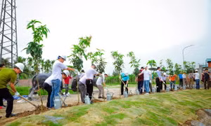 Bảo vệ môi trường, xã hội hóa toàn dân trong phong trào trồng cây gây rừng