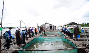 Lữ hành Fiditour khuyến mãi giá tốt tại VITM Cần Thơ