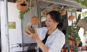 Bỏ phố về quê làm giàu từ gáo dừa