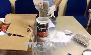 Triệt phá đường dây vận chuyển 57 kg ma túy từ Mỹ về Việt Nam