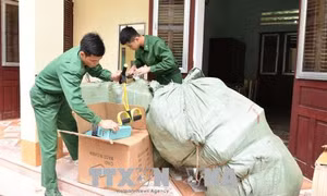 Lạng Sơn liên tiếp bắt giữ nhiều vụ buôn lậu