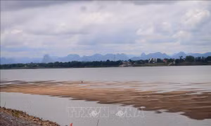 Mực nước sông Mekong tại Thái Lan giảm xuống mức báo động