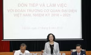 Trưởng Ban Dân vận Trung ương làm việc với Đại sứ, Trưởng Cơ quan đại diện Việt Nam ở nước ngoài 