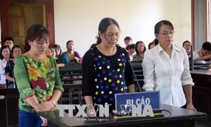 Phạt tù nguyên kế toán và thủ quỹ của Trường Chính trị tỉnh Phú Yên