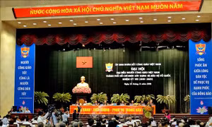 Tiếp tục làm tốt vai trò là cầu nối, đoàn kết đồng bào công giáo xây dựng và bảo vệ Tổ quốc