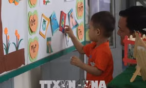 'Nở rộ' nhiều cơ sở giáo dục chuyên biệt trẻ tự kỷ không giấy phép