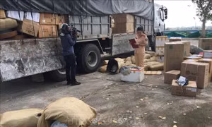 Bắt ô tô tải vận chuyển trên 1,2 tấn thịt động vật bốc mùi hôi thối 