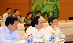 Chính phủ chưa có chủ trương cải cách tiếng Việt