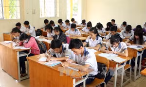 Giáo dục thường xuyên tập trung đa dạng hóa các chương trình, nội dung dạy học 