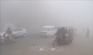 Ô nhiễm không khí làm giảm gần 2 năm tuổi thọ của trẻ em
