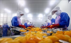 Liên kết chuỗi giá trị trong sản xuất nông nghiệp - Bài 1: Sáng tạo trong từng sản phẩm