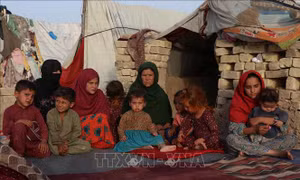 IOM kêu gọi gây quỹ khẩn cấp hỗ trợ người Afghanistan phải đi lánh nạn