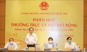 Thúc đẩy, vận hành điện ảnh như một ngành kinh tế, công nghiệp văn hóa
