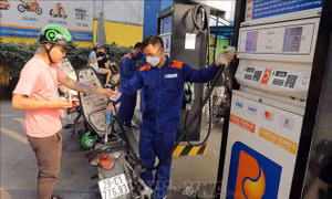 VPI dự báo giá xăng dầu đảo chiều tăng mạnh vào ngày mai 30/10