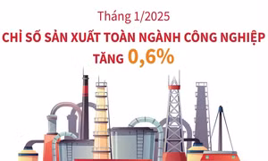 Tháng 1/2025: Chỉ số sản xuất toàn ngành công nghiệp tăng 0,6%