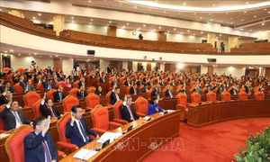 Ý kiến cán bộ, đảng viên: Công tác phát hiện, xử lý tham nhũng được chỉ đạo và thực hiện đồng bộ, quyết liệt