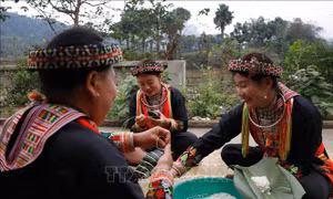Khám phá phong tục đón Tết của người Dao đỏ ở Lục Yên