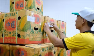 Kinh tế 2022 - 2023: Thời cơ của nông sản Việt