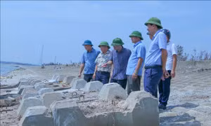 Ninh Bình gấp rút gia cố hệ thống đê biển