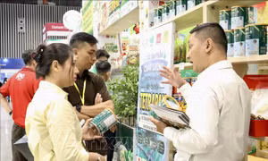 Vì sao số doanh nghiệp rút khỏi thị trường TP. Hồ Chí Minh tăng mạnh?