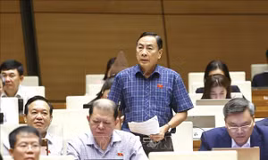 Quy định chặt chẽ việc hiến mô, bộ phận cơ thể của người chấp hành án phạt tù
