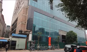 Hà Nội tập trung xử lý dứt điểm vi phạm tại tòa nhà 8B Lê Trực
