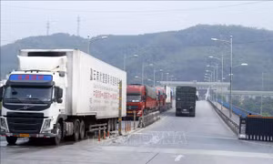 Kim ngạch xuất nhập khẩu qua cửa khẩu Lào Cai đạt gần 135 triệu USD