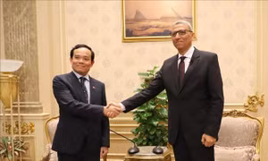 Cơ hội lớn thúc đẩy hợp tác kinh tế và thương mại Việt Nam - Ai Cập