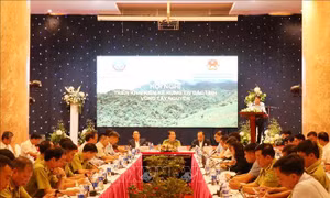 Tổ chức kiểm kê rừng khu vực Tây Nguyên