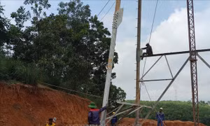 Yêu cầu khẩn trương giải phóng mặt bằng dự án Đường dây 220kV Nậm Sum - Nông Cống