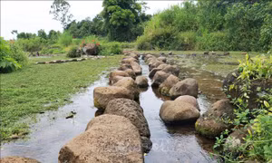 Bảo tồn bền vững di tích và hệ thống mạch nước ngầm ở 14 giếng cổ xã Cồn Tiên