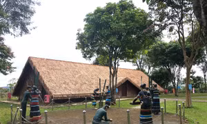 Về thăm sóc Bom Bo