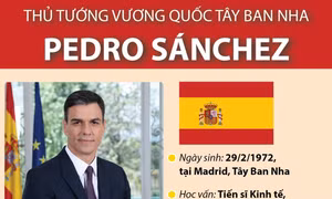 Thủ tướng Vương quốc Tây Ban Nha Pedro Sánchez