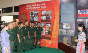 Triển lãm 'Hồi sinh những vùng đất chết' và hành trình xoa dịu nỗi đau da cam