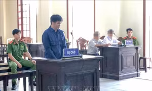 'Cò đất' lừa đảo hơn 20 tỷ đồng bị phạt 17 năm tù