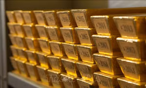 Nền kinh tế lớn nhất châu Âu sẽ sụt giảm vào năm 2023, lạm phát lên đến 8,8% 