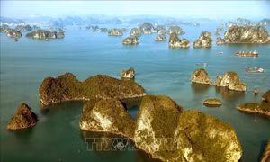 Chiều vàng trên vịnh Hạ Long