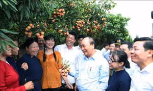 Thủ tướng Nguyễn Xuân Phúc thăm 'Vườn quả Bác Hồ' ở Bắc Giang