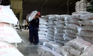 Lương thực dự trữ quốc gia đảm bảo đáp ứng trong tình huống khẩn cấp xảy ra